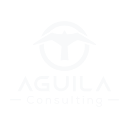 Logo Footer aguila consulting
